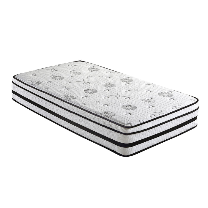 OakvillePark Falmouth 12-Inch Memory Foam Hybrid Mattress